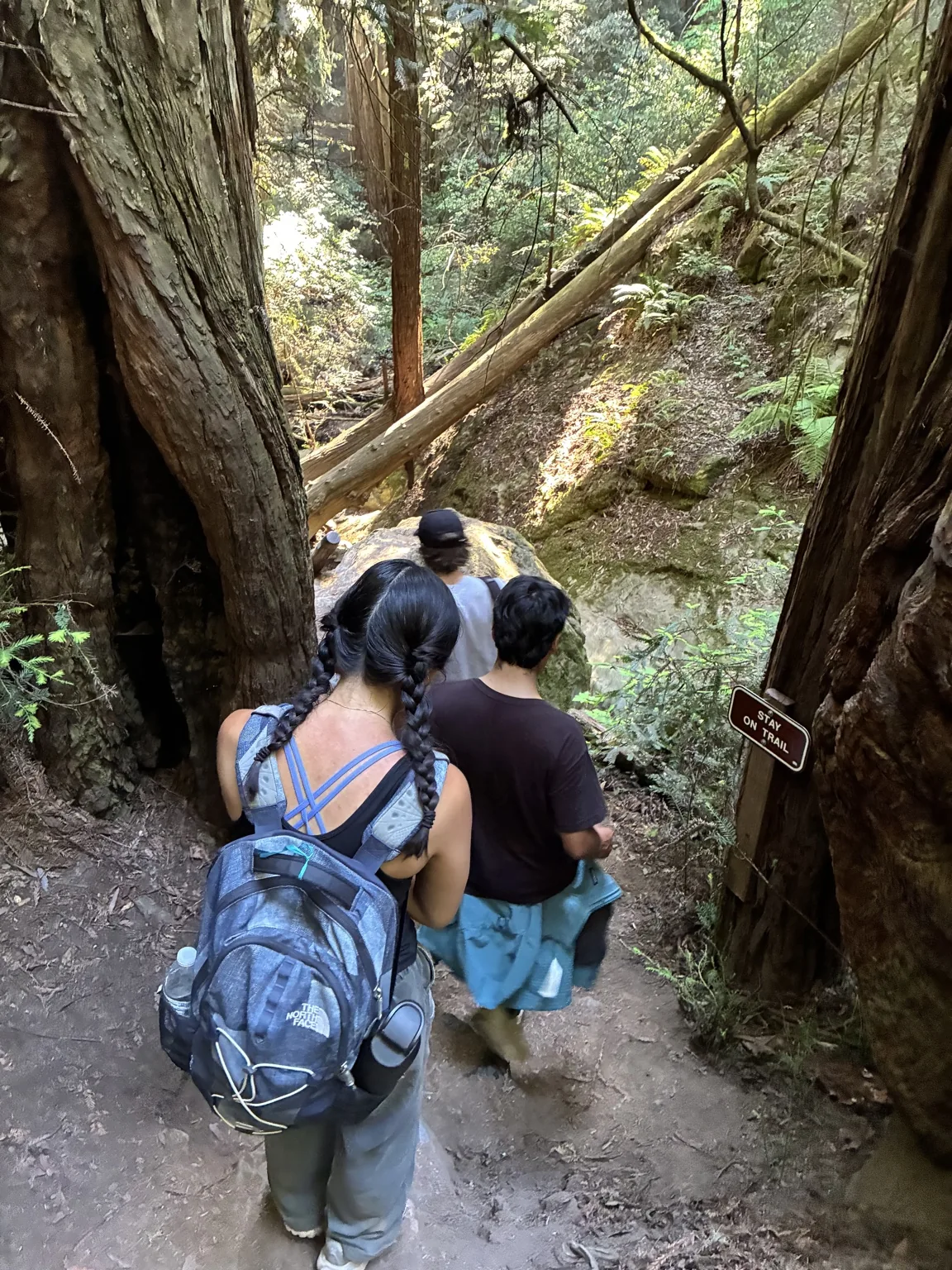Interns hiking along a wooded trail