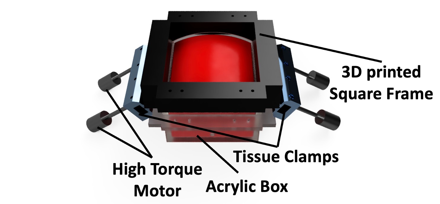Annotated MeshAlyzer assembly showing the balloon, acrylic box, tissue clamps, motors and stabilizing frame